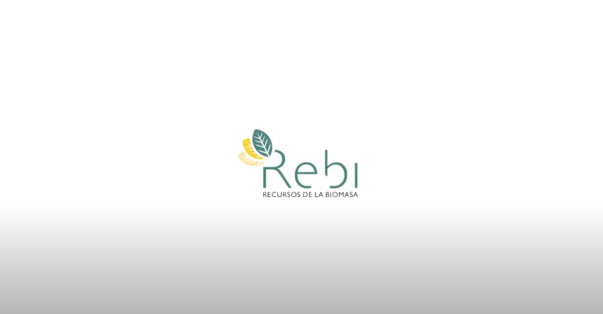 Cliente Rebi